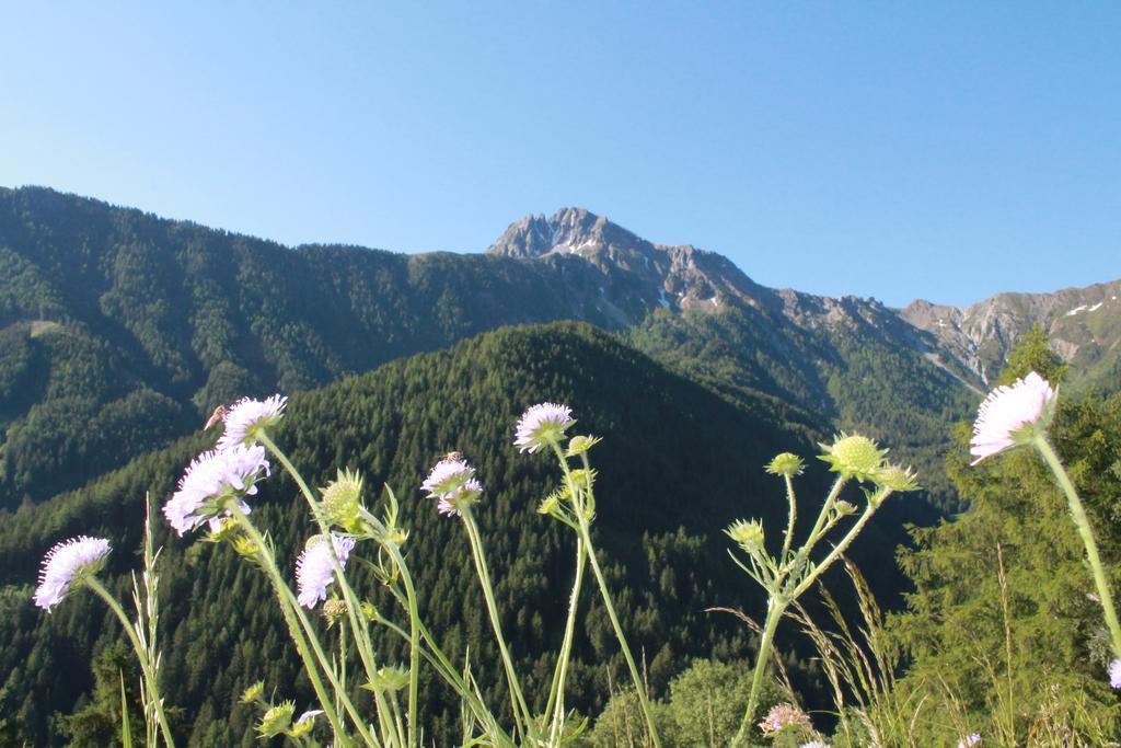 Hofstatthof Villa Campo di Trens Esterno foto