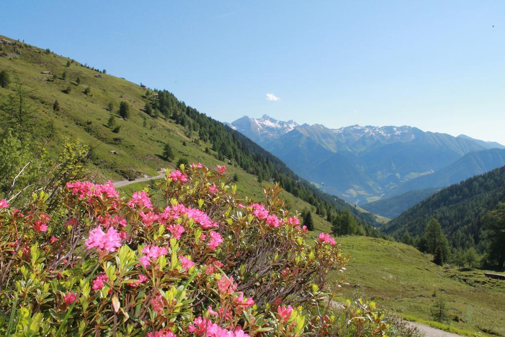 Hofstatthof Villa Campo di Trens Esterno foto